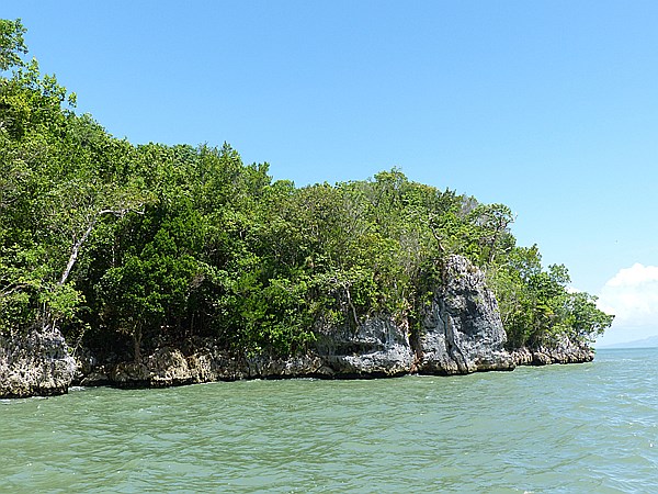 Foto:: Nationalpark / Los Haitises / 13.06.2014 (Foto,Fotos,Bilder,Bild,)