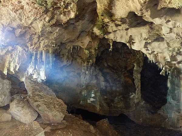 Foto:: Nationalpark / Los Haitises / 13.06.2014 (Foto,Fotos,Bilder,Bild,)