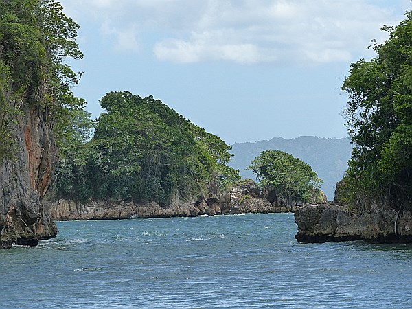 Foto:: Nationalpark / Los Haitises / 13.06.2014 (Foto,Fotos,Bilder,Bild,)