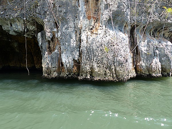 Foto:: Nationalpark / Los Haitises / 13.06.2014 (Foto,Fotos,Bilder,Bild,)