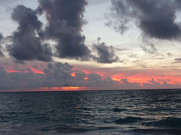 Foto:: Sonnenaufgang / Punta Cana / 19.06.2014 (Foto,Fotos,Bilder,Bild,)