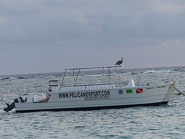 Foto:: Sonnenaufgang / Punta Cana / 19.06.2014 (Foto,Fotos,Bilder,Bild,)