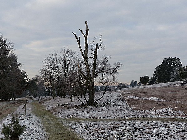 Foto:: Winterwanderung / Oberhaverbeck / 26.12.2014 (Foto,Fotos,Bilder,Bild,)