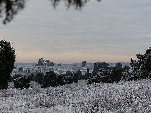 Foto:: Winterwanderung / Oberhaverbeck / 26.12.2014 (Foto,Fotos,Bilder,Bild,)