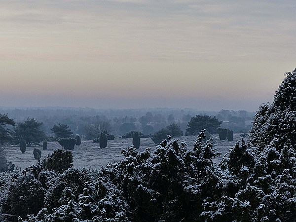 Foto:: Winterwanderung / Oberhaverbeck / 26.12.2014 (Foto,Fotos,Bilder,Bild,)