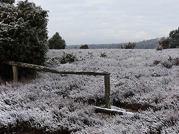 Foto:: Winterwanderung / Oberhaverbeck / 26.12.2014 (Foto,Fotos,Bilder,Bild,)
