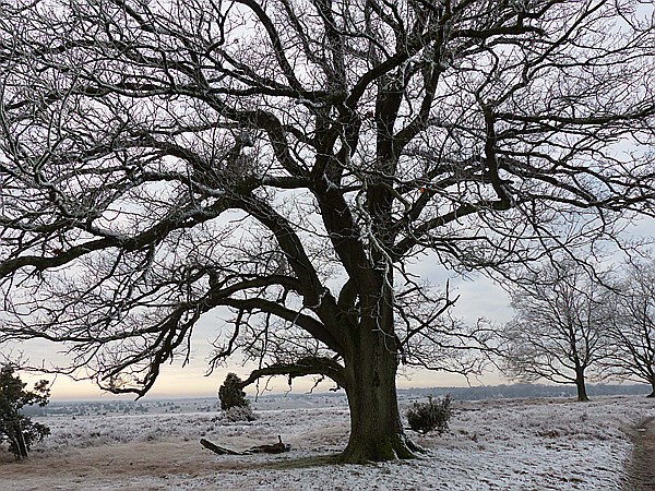 Foto:: Winterwanderung / Oberhaverbeck / 26.12.2014 (Foto,Fotos,Bilder,Bild,)