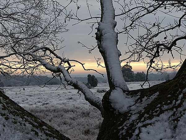 Foto:: Winterwanderung / Oberhaverbeck / 26.12.2014 (Foto,Fotos,Bilder,Bild,)