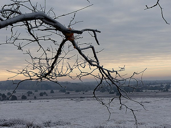 Foto:: Winterwanderung / Oberhaverbeck / 26.12.2014 (Foto,Fotos,Bilder,Bild,)