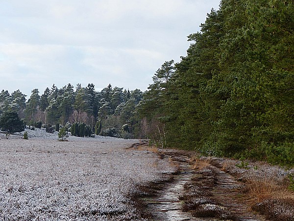Foto:: Winterwanderung / Oberhaverbeck / 26.12.2014 (Foto,Fotos,Bilder,Bild,)