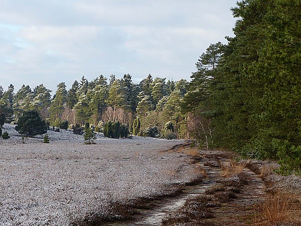 Foto:: Winterwanderung / Oberhaverbeck / 26.12.2014 (Foto,Fotos,Bilder,Bild,)