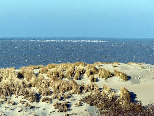 Foto:: Strandspaziergang / Nieuw-Haamstede / 07.02.2015 (Foto,Fotos,Bilder,Bild,)