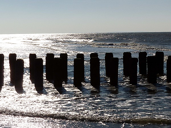 Foto:: Strandspaziergang / Nieuw-Haamstede / 07.02.2015 (Foto,Fotos,Bilder,Bild,)