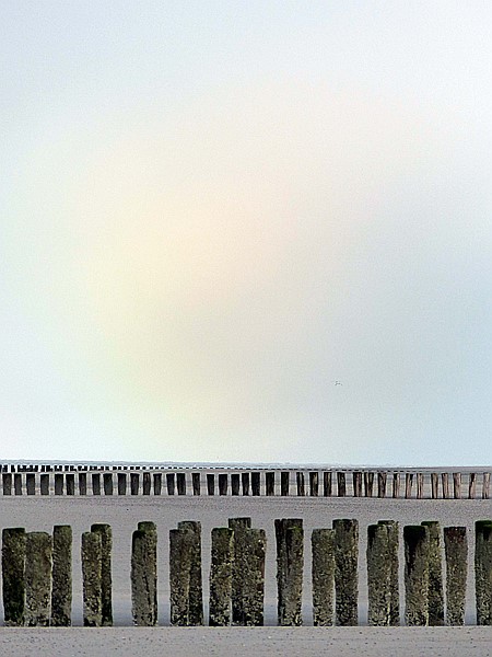 Foto:: Strandspaziergang / Nieuw-Haamstede / 07.02.2015 (Foto,Fotos,Bilder,Bild,)