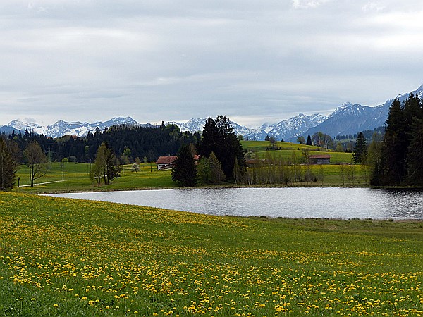 Foto:: Luimooser Weiher / Luimoos / 04.05.2015 (Foto,Fotos,Bilder,Bild,)