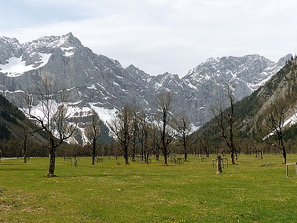 Foto:: Grosser Ahornboden / Eng / 05.05.2015 (Foto,Fotos,Bilder,Bild,)