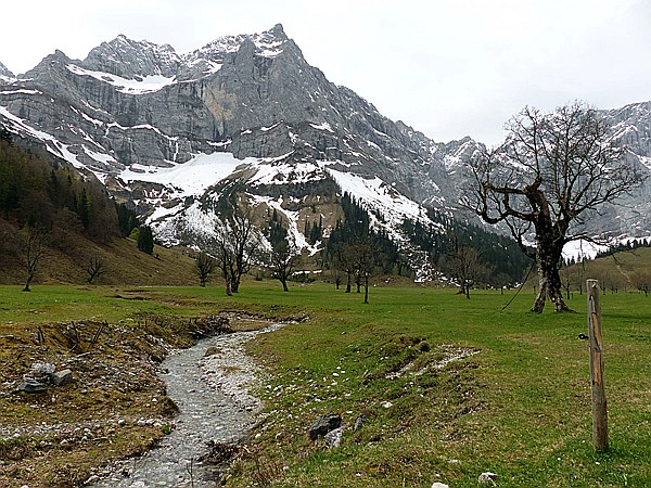 Foto:: Eng Alm / Eng / 05.05.2015 (Foto,Fotos,Bilder,Bild,)