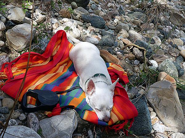 Foto:: Wanderung zum Fluss Cecina / Pomarance / 07.05.2015 (Foto,Fotos,Bilder,Bild,)