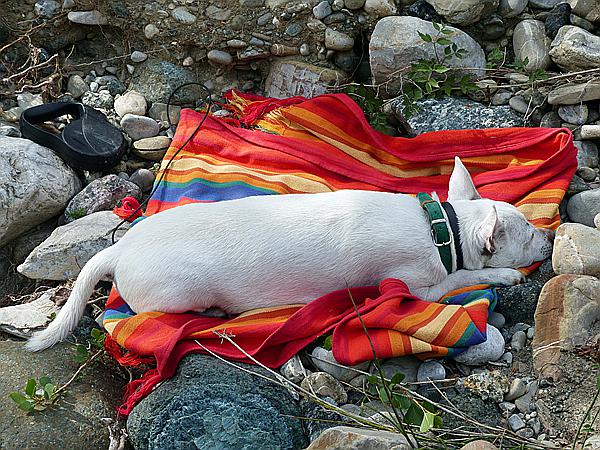 Foto:: Wanderung zum Fluss Cecina / Pomarance / 07.05.2015 (Foto,Fotos,Bilder,Bild,)