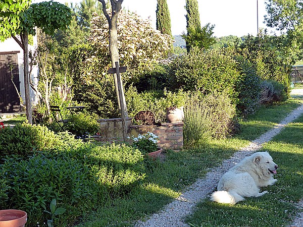 Foto:: Pension Sant Emilia / Pomaranace / 07.05.2015 (Foto,Fotos,Bilder,Bild,)