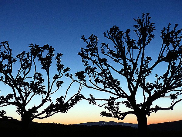 Foto:: Abendstimmung / Pomarance / 07.05.2015 (Foto,Fotos,Bilder,Bild,)