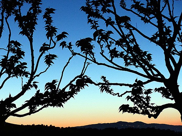 Foto:: Abendstimmung / Pomarance / 07.05.2015 (Foto,Fotos,Bilder,Bild,)