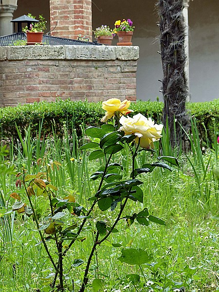 Foto:: Stadtansichten / San Gimignano / 08.05.2015 (Foto,Fotos,Bilder,Bild,)