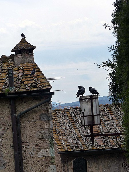 Foto:: Stadtansichten / San Gimignano / 08.05.2015 (Foto,Fotos,Bilder,Bild,)
