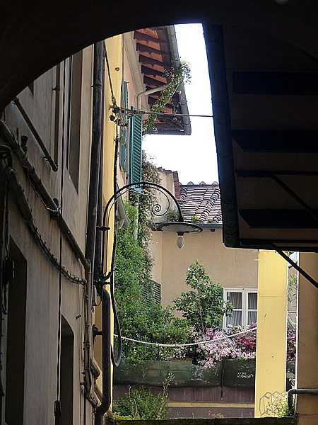 Foto:: Besichtigung / Lucca / 14.05.2015 (Foto,Fotos,Bilder,Bild,)