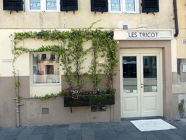 Foto:: Besichtigung / Lucca / 14.05.2015 (Foto,Fotos,Bilder,Bild,)