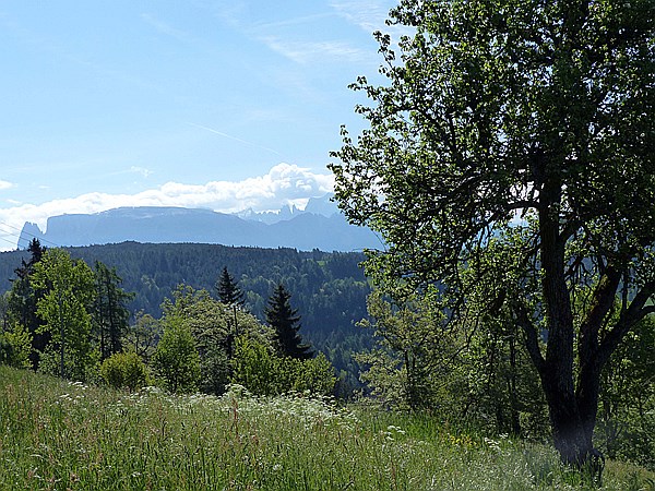 Foto:: Wanderung / Oberinn / 17.05.2015 (Foto,Fotos,Bilder,Bild,)