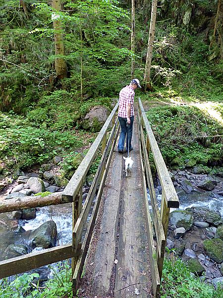 Foto:: Wanderung / Oberinn / 17.05.2015 (Foto,Fotos,Bilder,Bild,)