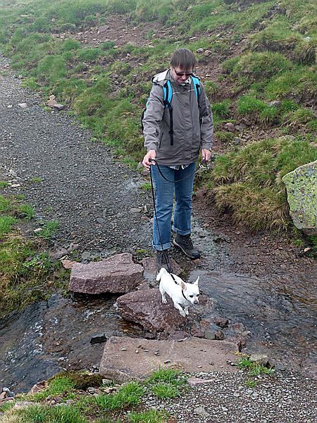 Foto:: Wanderung / Schwarzseespitz - Oberinn / 19.05.2015 (Foto,Fotos,Bilder,Bild,)