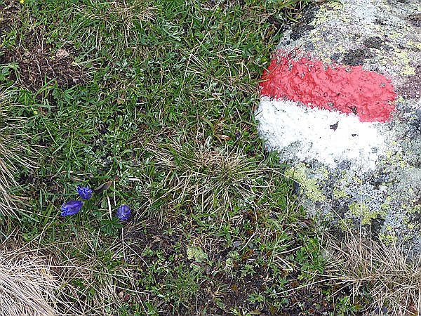 Foto:: Wanderung / Schwarzseespitz - Oberinn / 19.05.2015 (Foto,Fotos,Bilder,Bild,)