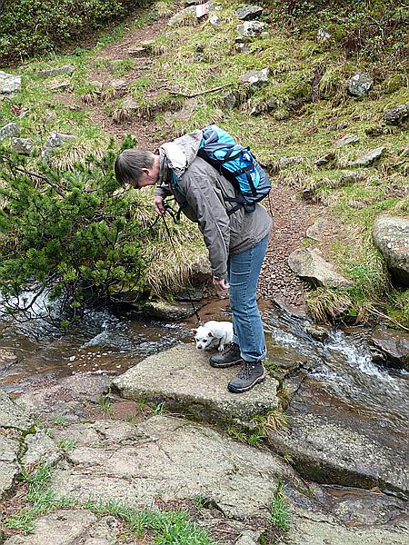 Foto:: Wanderung / Schwarzseespitz - Oberinn / 19.05.2015 (Foto,Fotos,Bilder,Bild,)