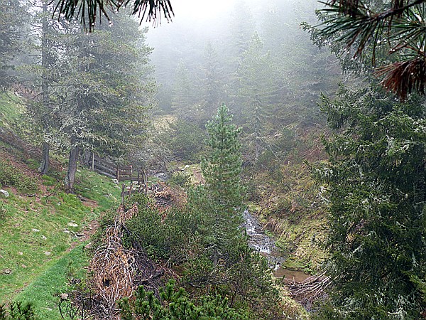 Foto:: Wanderung / Schwarzseespitz - Oberinn / 19.05.2015 (Foto,Fotos,Bilder,Bild,)