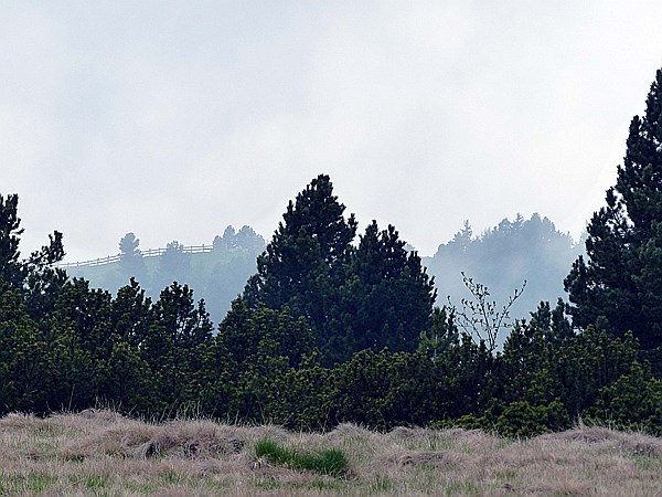 Foto:: Wanderung / Schwarzseespitz - Oberinn / 19.05.2015 (Foto,Fotos,Bilder,Bild,)