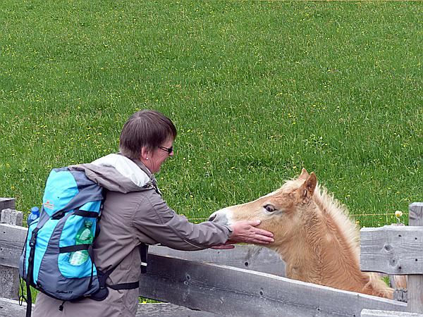 Foto:: Wanderung / Schwarzseespitz - Oberinn / 19.05.2015 (Foto,Fotos,Bilder,Bild,)