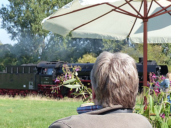 Foto:: DR 41 1144-9 + DR 52 8168-8 / Neuhof / 12.09.2015 (Foto,Fotos,Bilder,Bild,)