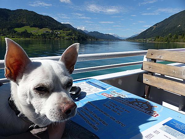 Foto:: Wanderung / Techendorf - Naggl / 21.09.2015 (Foto,Fotos,Bilder,Bild,)