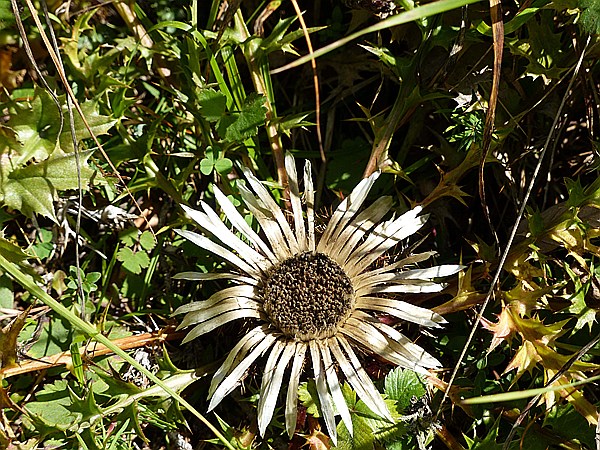 Foto:: Wanderung / Techendorf - Ortsee / 22.09.2015 (Foto,Fotos,Bilder,Bild,)