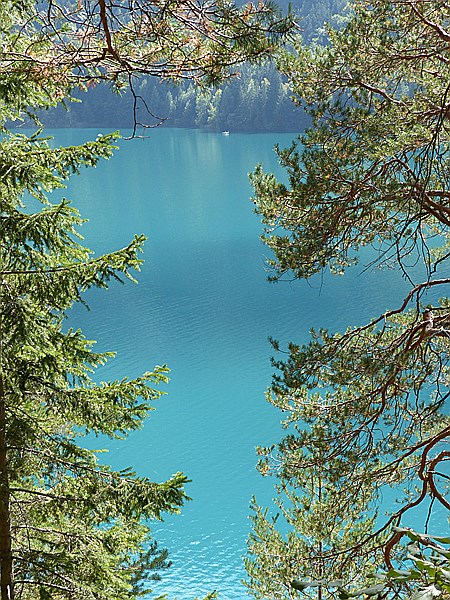 Foto:: Wanderung / Techendorf - Ortsee / 22.09.2015 (Foto,Fotos,Bilder,Bild,)