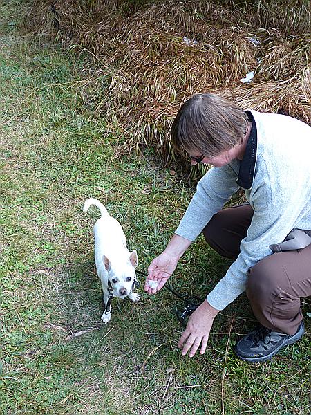 Foto:: Wanderung / Techendorf / 25.09.2015 (Foto,Fotos,Bilder,Bild,)