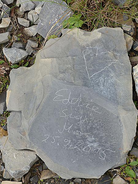 Foto:: Wanderung / Techendorf / 25.09.2015 (Foto,Fotos,Bilder,Bild,)