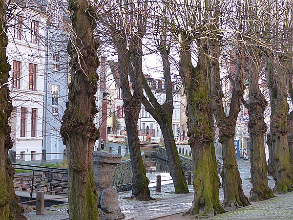Foto:: Frische Grube / Wismar / 12.12.2015 (Foto,Fotos,Bilder,Bild,)
