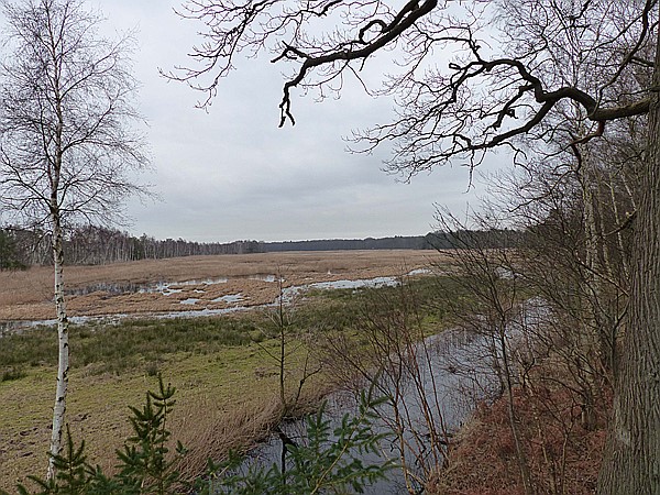 Foto:: Wanderung zum Jagdschloss / Markgrafenheide / 05.02.2016 (Foto,Fotos,Bilder,Bild,)