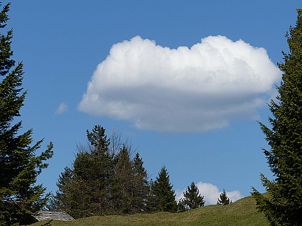Foto:: Wanderung / Mittenwald - Kruen / 08.05.2016 (Foto,Fotos,Bilder,Bild,)