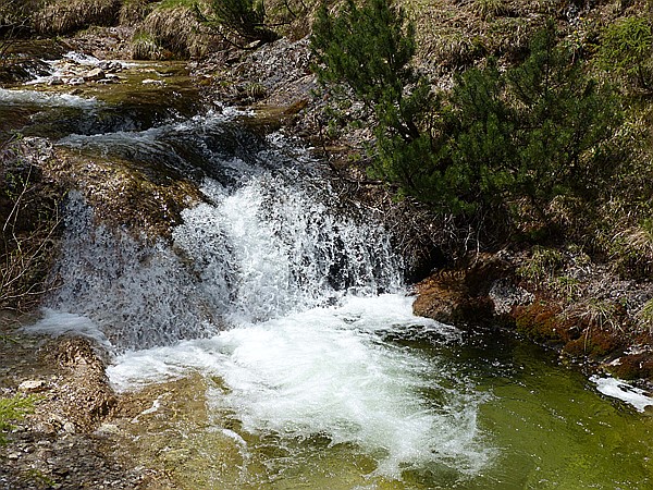 Foto:: Wanderung / Garmisch-Partenkirchen - Mittenwald / 09.05.2016 (Foto,Fotos,Bilder,Bild,)