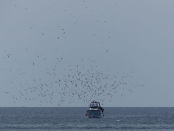 Foto:: Rundgang / Port de Soller / 24.05.2016 (Foto,Fotos,Bilder,Bild,)