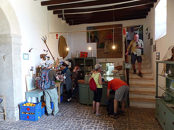Foto:: Wanderung / Port de Soller / 25.05.2016 (Foto,Fotos,Bilder,Bild,)